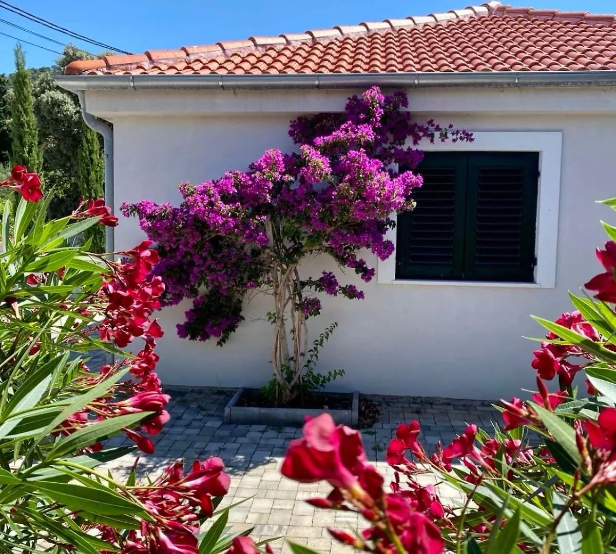 Barbat 249 Villa Barbat na Rabu Croatia