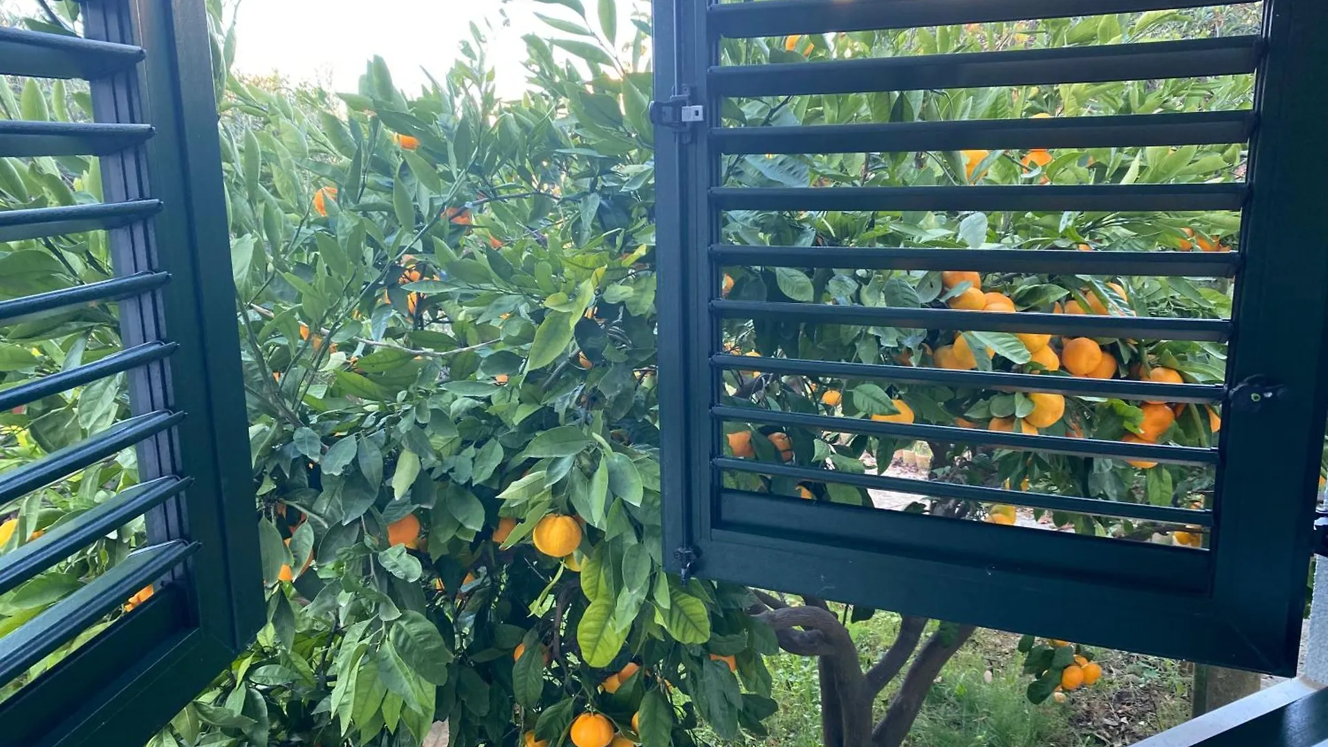 Holiday home Barbat 249 Villa Barbat na Rabu